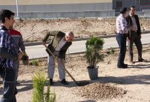 گزارش تصویری مراسم روز درخت کاری و تقدیر از نیروهای باغبانی دانشگاه